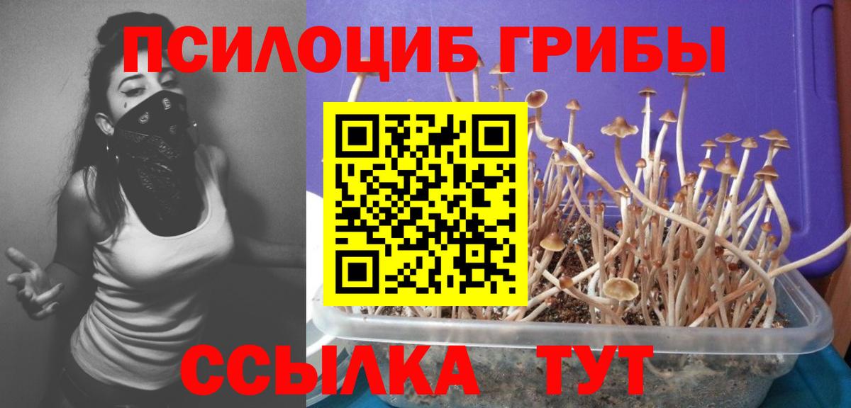 Галлюциногенные грибы мицелий Шуя